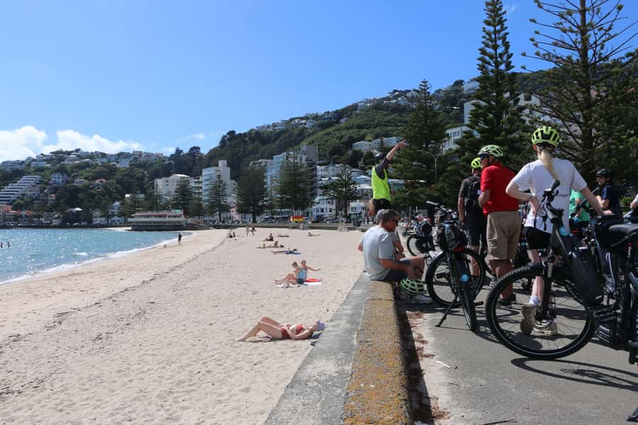 Wellington: Guided Sightseeing Tour by Electric Bike - Why this bike tour works so well in Wellington