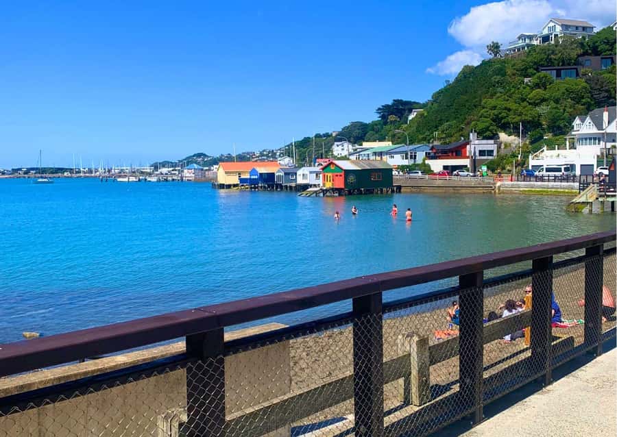 Wellington: Guided Sightseeing Tour by Electric Bike - Wellington Waterfront and Oriental Bay