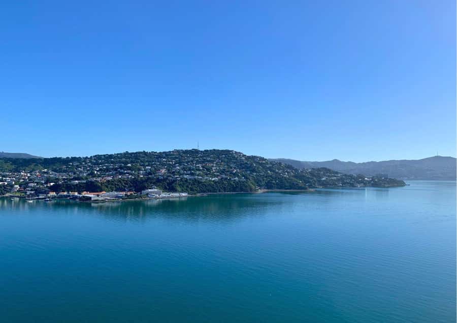 Wellington: Guided Sightseeing Tour by Electric Bike - The ride back and early afternoon finish
