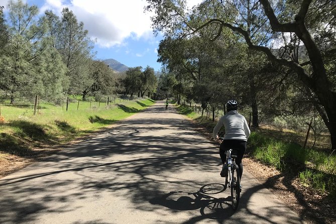Wine Country Half-Day Bike Tour from Solvang - w/o Lunch - Key points to know before you pedal