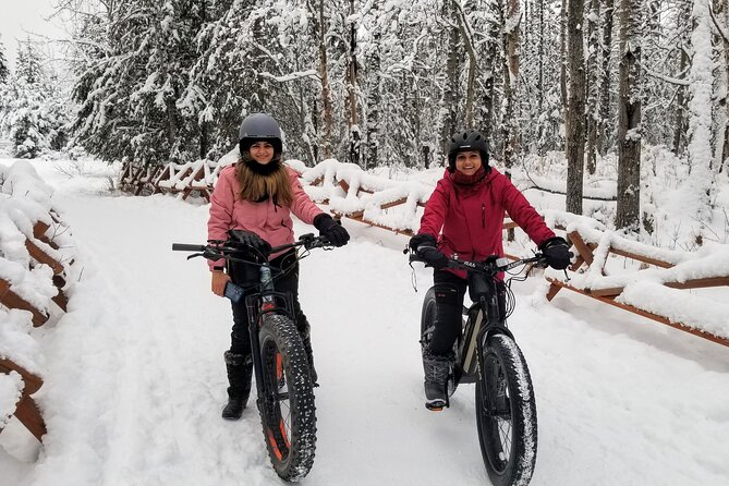 Winter Fat Biking Anchorage Tour - Stories, Stops, and Photo Opportunities