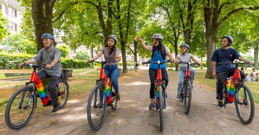 Zurich: E-Bike City Tour - The climb to Rigiblick and Zurich’s best city view