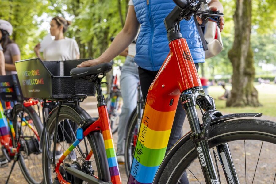 Zurich: E-Bike City Tour - How good is the e-bike for mixed abilities?